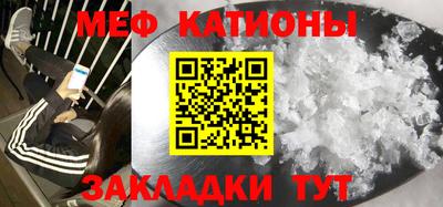 прущие грибы Пушкино